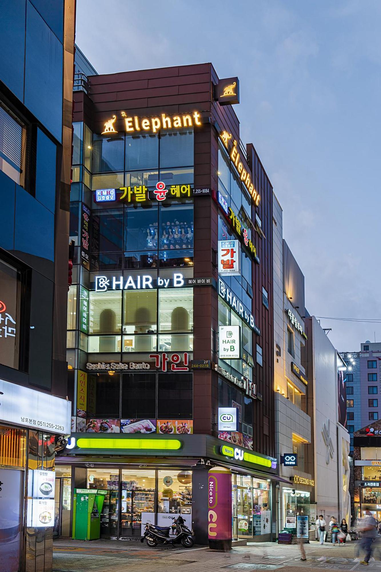 Elephant *