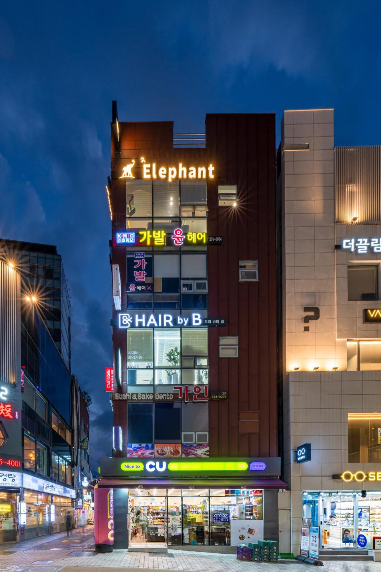 Elephant * 釜山